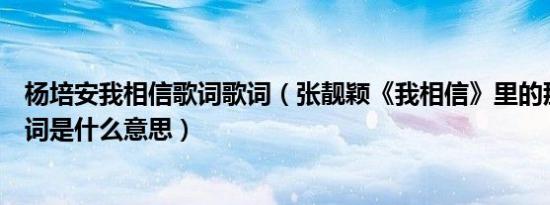 杨培安我相信歌词歌词（张靓颖《我相信》里的那句英文歌词是什么意思）