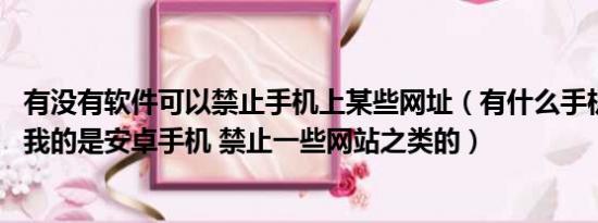 有没有软件可以禁止手机上某些网址（有什么手机软件禁黄.我的是安卓手机 禁止一些网站之类的）