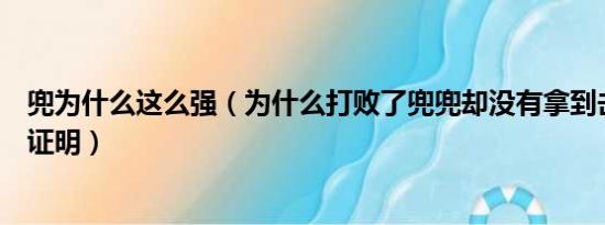 兜为什么这么强（为什么打败了兜兜却没有拿到击败兜兜的证明）