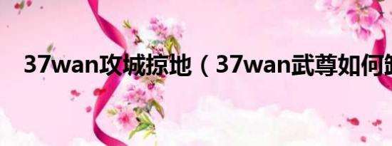 37wan攻城掠地（37wan武尊如何卸载）