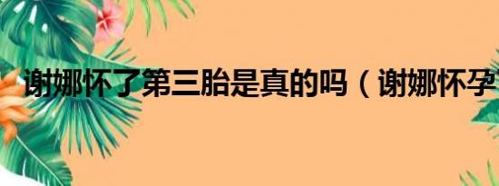 谢娜怀了第三胎是真的吗（谢娜怀孕了吗）