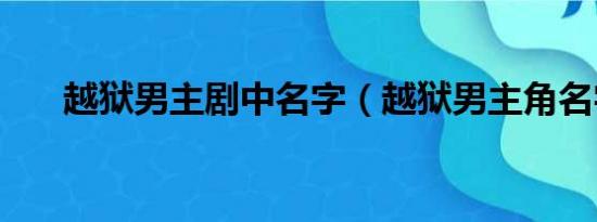 越狱男主剧中名字（越狱男主角名字）