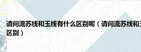 请问流苏线和玉线有什么区别呢（请问流苏线和玉线有什么区别）