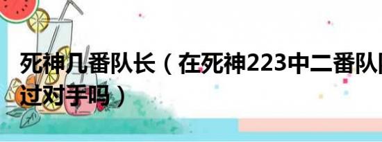 死神几番队长（在死神223中二番队队长能打过对手吗）