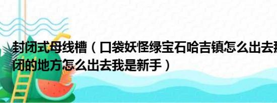 封闭式母线槽（口袋妖怪绿宝石哈吉镇怎么出去那里是个封闭的地方怎么出去我是新手）