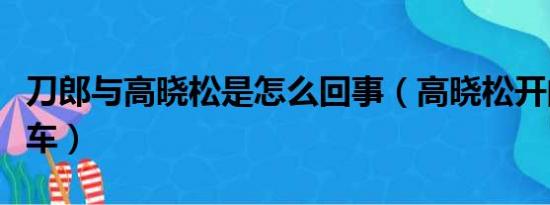 刀郎与高晓松是怎么回事（高晓松开的是什么车）