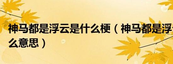 神马都是浮云是什么梗（神马都是浮云”是什么意思）