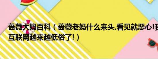蔷薇大妈百科（蔷薇老妈什么来头,看见就恶心!我觉得现在互联网越来越低俗了!）