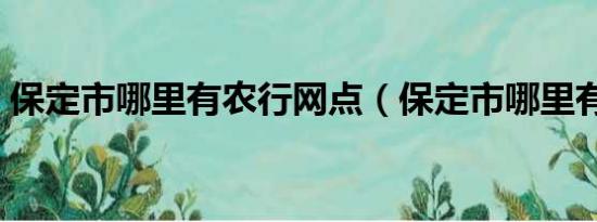 保定市哪里有农行网点（保定市哪里有农行）