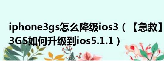 iphone3gs怎么降级ios3（【急救】iPhone3GS如何升级到ios5.1.1）