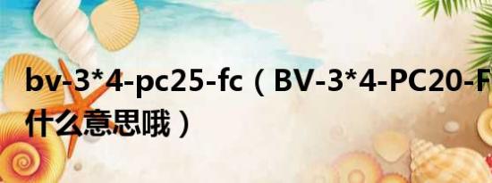 bv-3*4-pc25-fc（BV-3*4-PC20-FC/WC是什么意思哦）