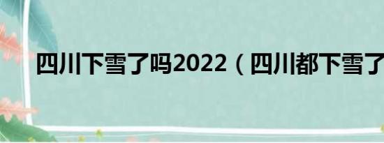 四川下雪了吗2022（四川都下雪了吗）