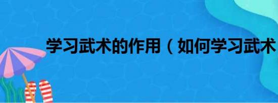 学习武术的作用（如何学习武术）