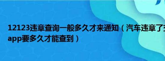 12123违章查询一般多久才来通知（汽车违章了交管12123app要多久才能查到）