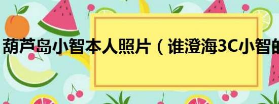 葫芦岛小智本人照片（谁澄海3C小智的照片）