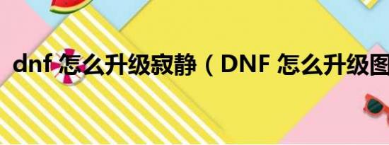 dnf 怎么升级寂静（DNF 怎么升级图标啊）