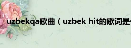 uzbekqa歌曲（uzbek hit的歌词是什么）