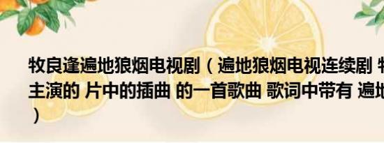 牧良逢遍地狼烟电视剧（遍地狼烟电视连续剧 牧良逢 柳烟主演的 片中的插曲 的一首歌曲 歌词中带有 遍地狼烟风儿起）