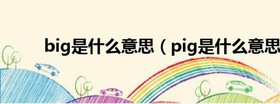 big是什么意思（pig是什么意思）