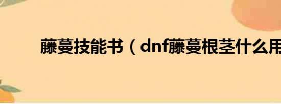 藤蔓技能书（dnf藤蔓根茎什么用）