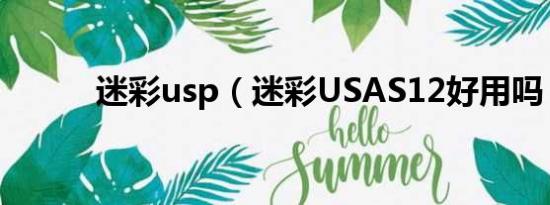 迷彩usp（迷彩USAS12好用吗）