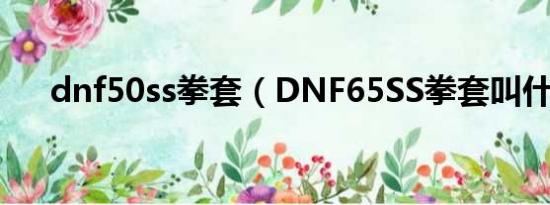 dnf50ss拳套（DNF65SS拳套叫什么）