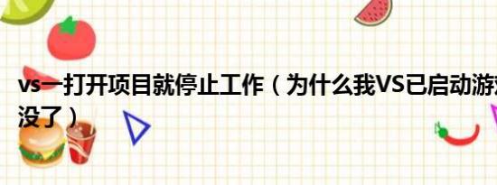 vs一打开项目就停止工作（为什么我VS已启动游戏全图挂就没了）