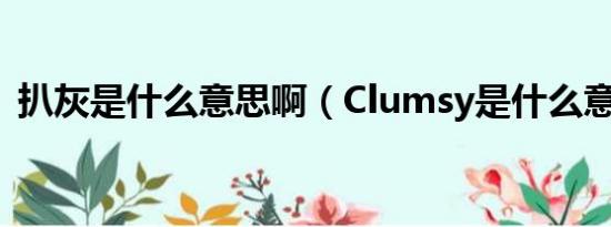 扒灰是什么意思啊（Clumsy是什么意思啊）