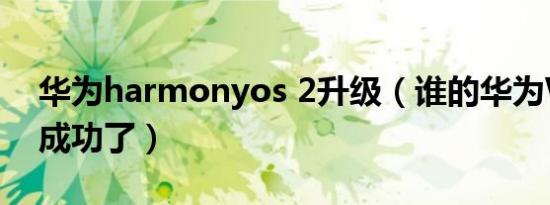 华为harmonyos 2升级（谁的华为W2升级成功了）