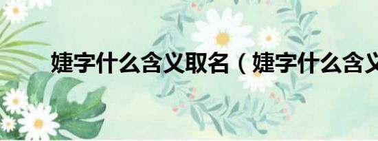 婕字什么含义取名（婕字什么含义）