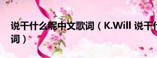 说干什么呢中文歌词（K.Will 说干什么呢歌词）