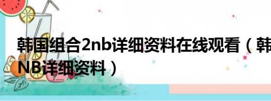 韩国组合2nb详细资料在线观看（韩国组合2NB详细资料）