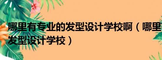 哪里有专业的发型设计学校啊（哪里有专业的发型设计学校）