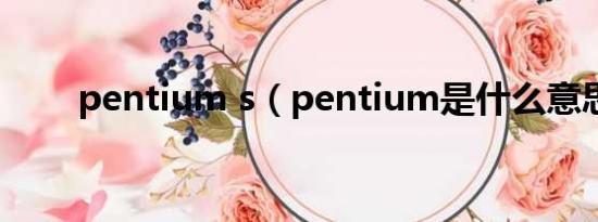 pentium s（pentium是什么意思）