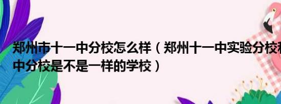 郑州市十一中分校怎么样（郑州十一中实验分校和郑州十一中分校是不是一样的学校）