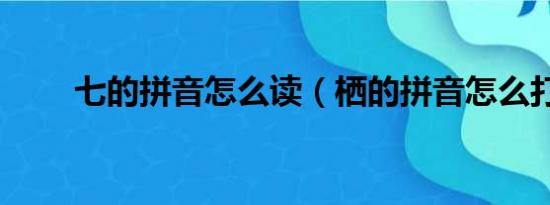 七的拼音怎么读（栖的拼音怎么打）