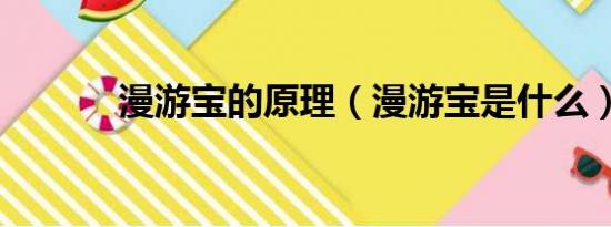 漫游宝的原理（漫游宝是什么）