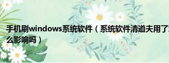 手机刷windows系统软件（系统软件清道夫用了对手机有什么影响吗）