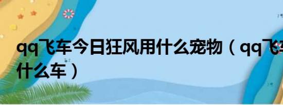 qq飞车今日狂风用什么宠物（qq飞车狂风是什么车）