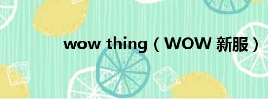 wow thing（WOW 新服）