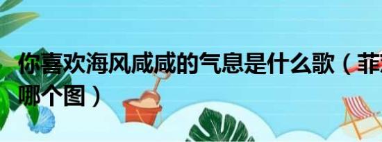 你喜欢海风咸咸的气息是什么歌（菲茨的气息哪个图）