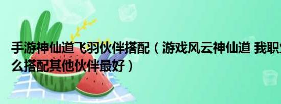 手游神仙道飞羽伙伴搭配（游戏风云神仙道 我职业是飞羽怎么搭配其他伙伴最好）