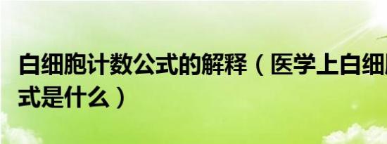 白细胞计数公式的解释（医学上白细胞计数公式是什么）