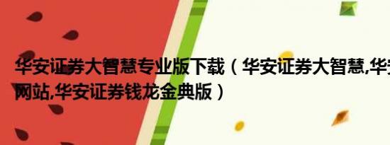 华安证券大智慧专业版下载（华安证券大智慧,华安证券官方网站,华安证券钱龙金典版）