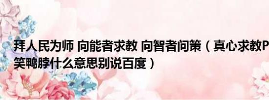 拜人民为师 向能者求教 向智者问策（真心求教PDD扔蛇笑笑鸭脖什么意思别说百度）