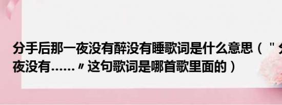 分手后那一夜没有醉没有睡歌词是什么意思（＂分手后那一夜没有……〃这句歌词是哪首歌里面的）