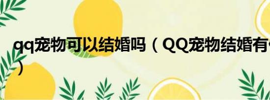 qq宠物可以结婚吗（QQ宠物结婚有什么好处）