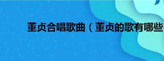 董贞合唱歌曲（董贞的歌有哪些）