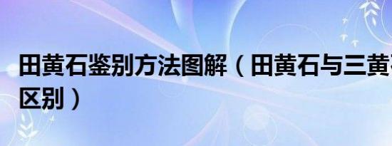 田黄石鉴别方法图解（田黄石与三黄石有什么区别）