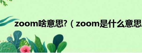 zoom啥意思?（zoom是什么意思哦）